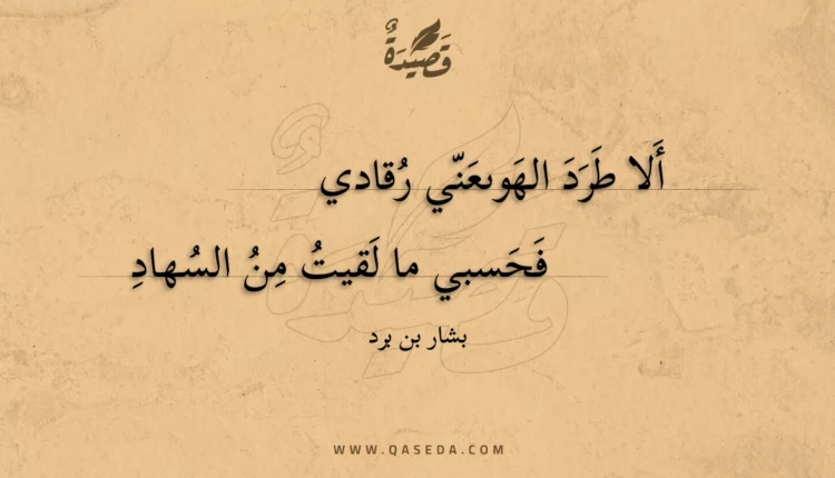 قصيدة ألا طرد الهوىعني رقادي