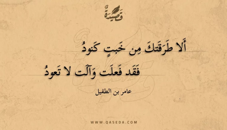 قصيدة ألا طرقتك من خبت كنود