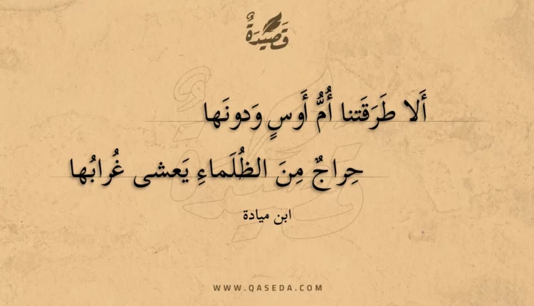قصيدة ألا طرقتنا أم أوس ودونها