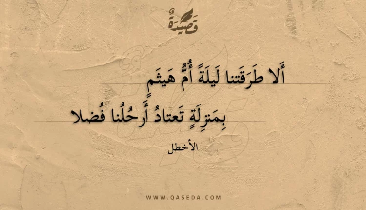 قصيدة ألا طرقتنا ليلة أم هيثم
