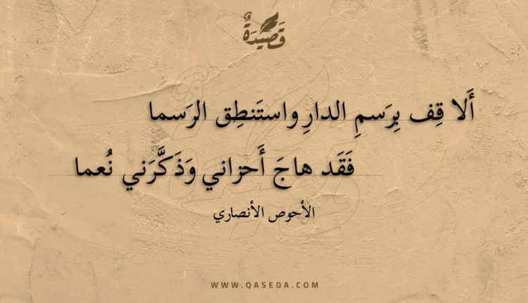 قصيدة ألا قف برسم الدار واستنطق الرسما