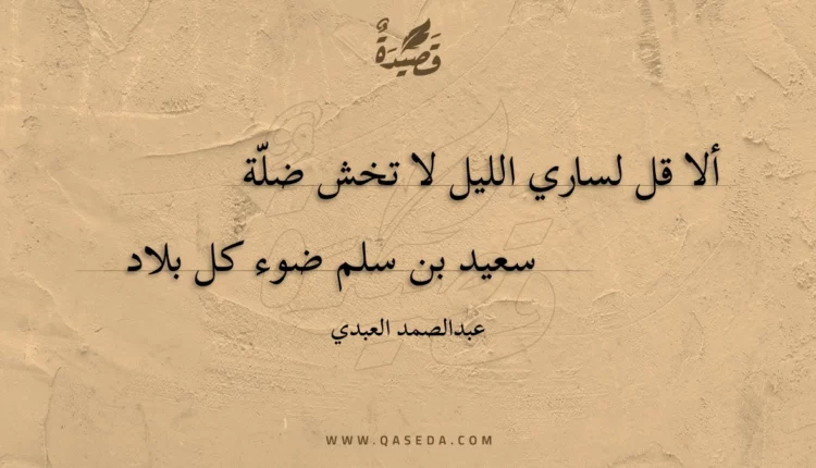 قصيدة ألا قل لساري الليل لا تخش ضلة