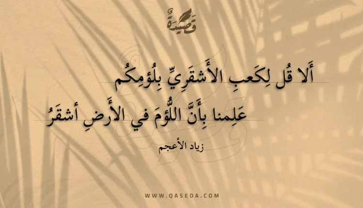 قصيدة ألا قل لكعب الأشقري بلؤمكم
