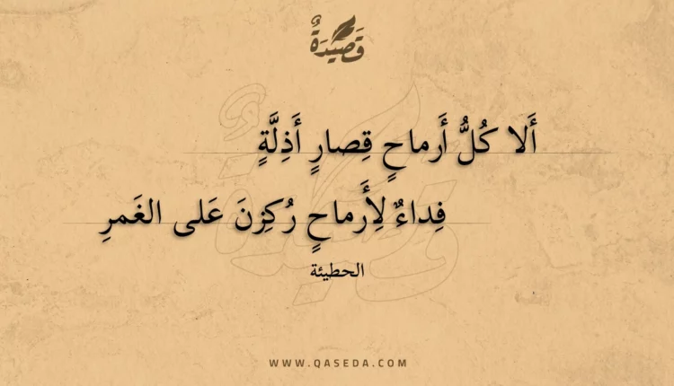 قصيدة ألا كل أرماح قصار أذلة