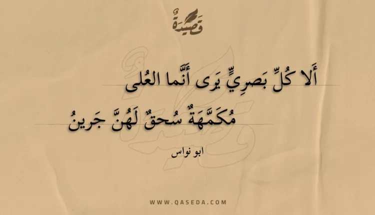 قصيدة ألا كل بصري يرى أنما العلى