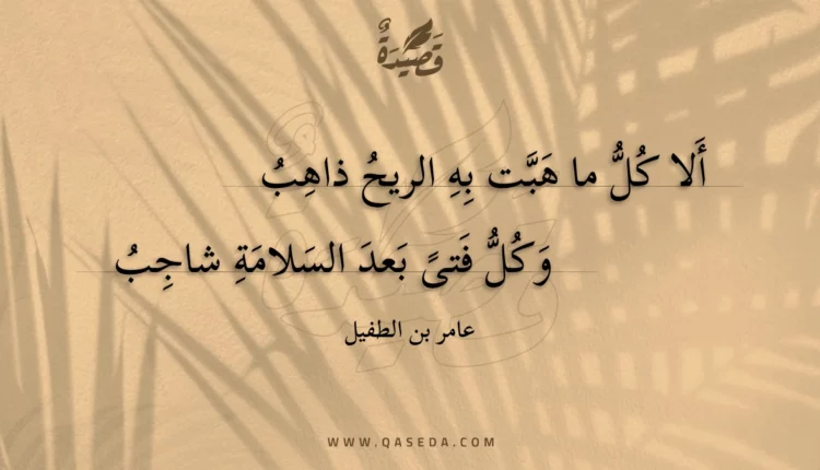 قصيدة ألا كل ما هبت به الريح ذاهب