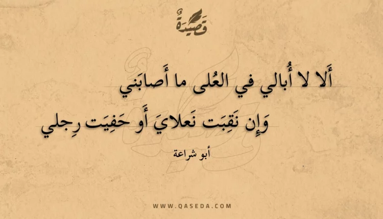 قصيدة ألا لا أبالي في العلى ما أصابني