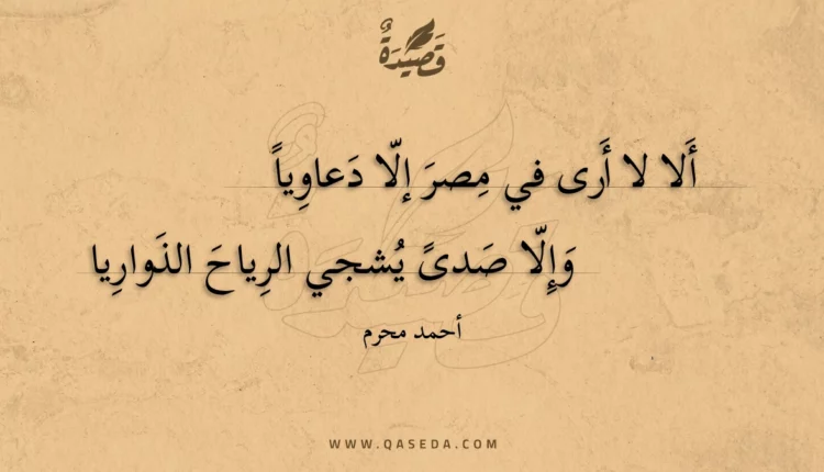 قصيدة ألا لا أرى في مصر إلا دعاويا