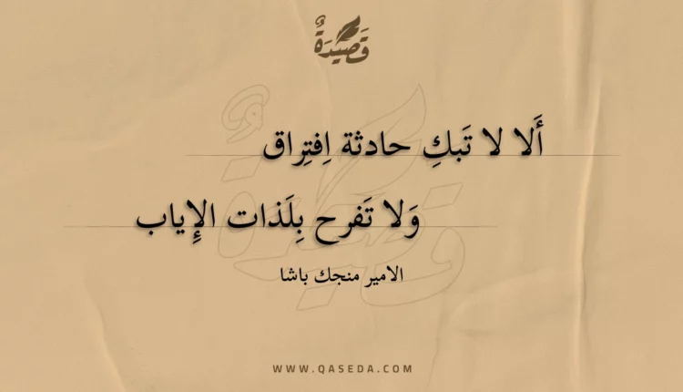 قصيدة ألا لا تبك حادثة افتراق
