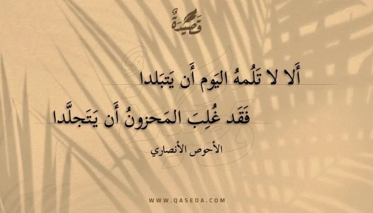 قصيدة ألا لا تلمه اليوم أن يتبلدا