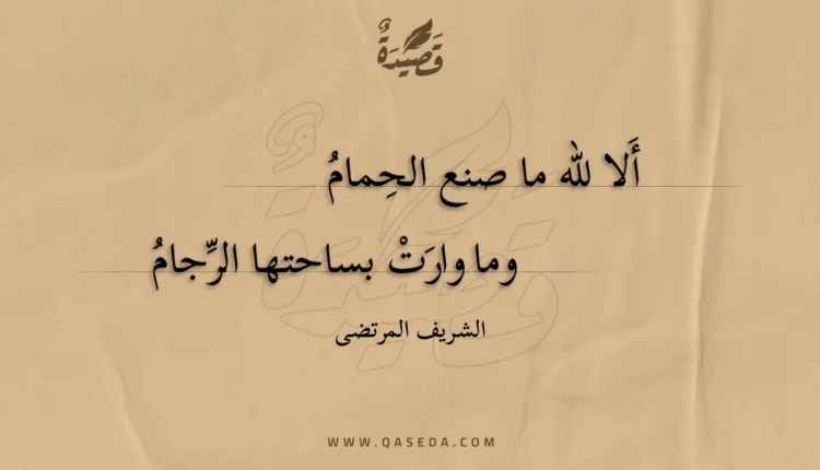 قصيدة ألا لله ما صنع الحمام