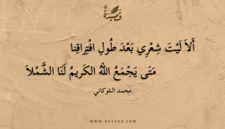 قصيدة ألا ليت شعري بعد طول افتراقنا