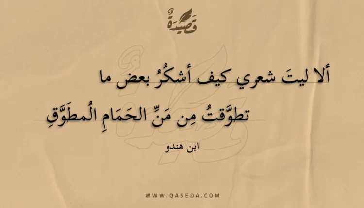 قصيدة ألا ليت شعري كيف أشكر بعض ما