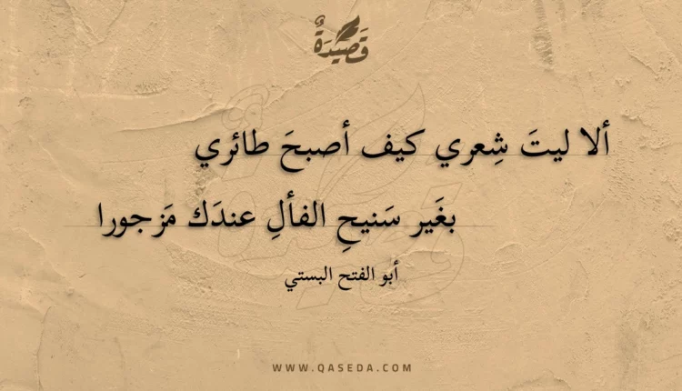 قصيدة ألا ليت شعري كيف أصبح طائري
