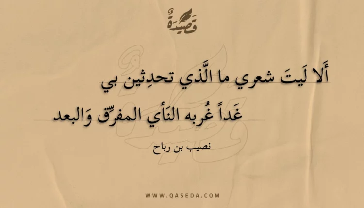 قصيدة ألا ليت شعري ما الذي تحدثين بي