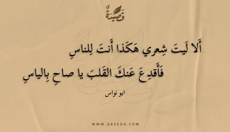 قصيدة ألا ليت شعري هكذا أنت للناس
