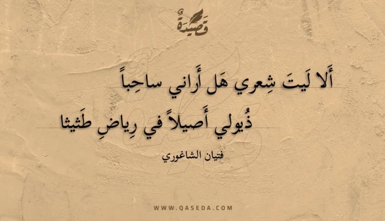 قصيدة ألا ليت شعري هل أراني ساحبا