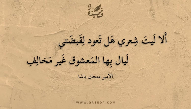 قصيدة ألا ليت شعري هل تعود لقبضتي