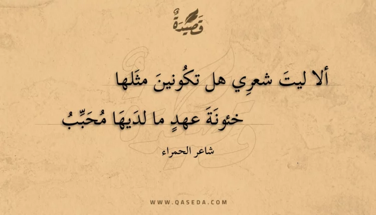 قصيدة ألا ليت شعري هل تكونين مثلها