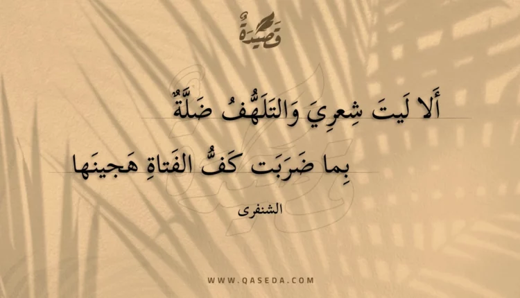 قصيدة ألا ليت شعري والتلهف ضلة