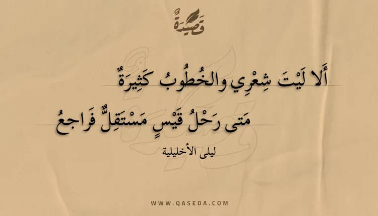 قصيدة ألا ليت شعري والخطوب كثيرة
