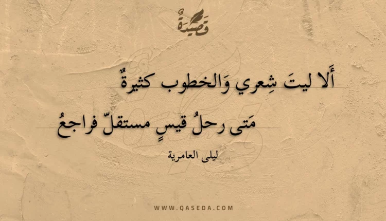 قصيدة ألا ليت شعري والخطوب كثيرة متي