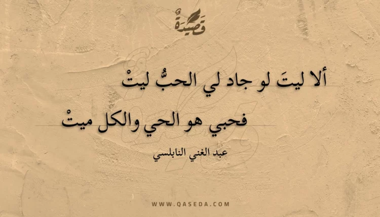 قصيدة ألا ليت لو جاد لي الحب ليت
