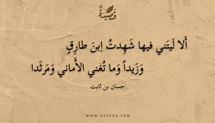 قصيدة ألا ليتني فيها شهدت ابن طارق