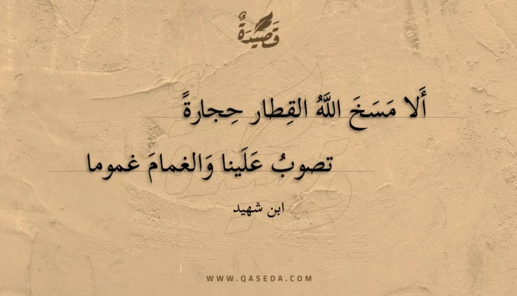 قصيدة ألا مسخ الله القطار حجارة