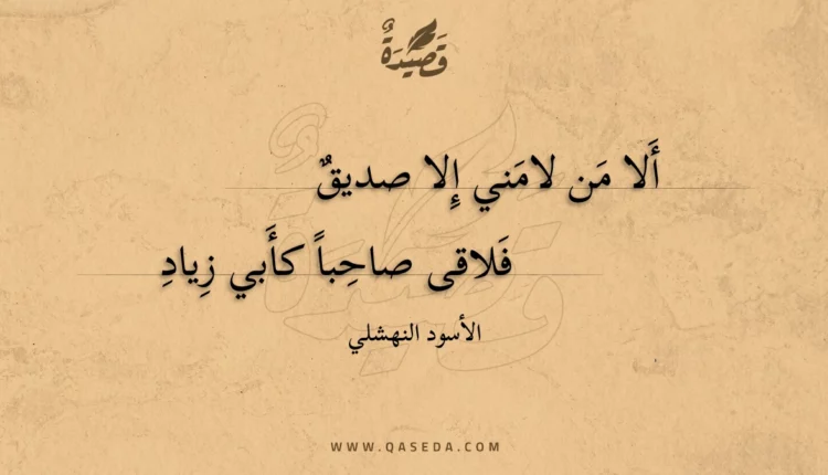 قصيدة ألا من لامني إلا صديق