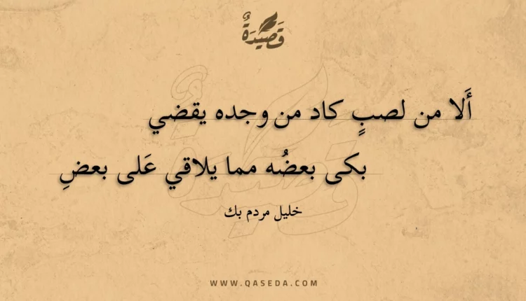 قصيدة ألا من لصب كاد من وجده يقضي