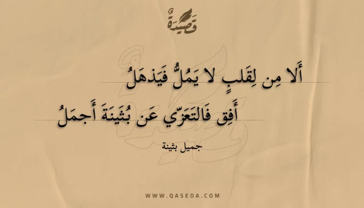 قصيدة ألا من لقلب لا يمل فيذهل