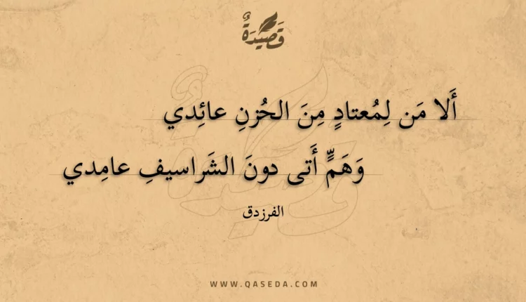 قصيدة ألا من لمعتاد من الحزن عائدي