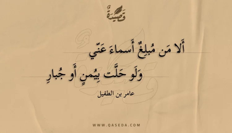 قصيدة ألا من مبلغ أسماء عني
