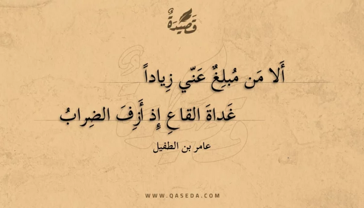 قصيدة ألا من مبلغ عني زيادا