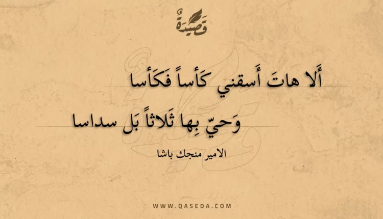 قصيدة ألا هات أسقني كأسا فكأسا