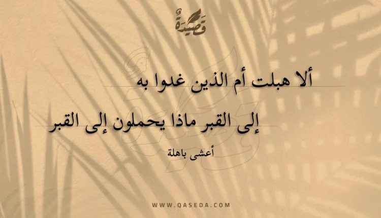 قصيدة ألا هبلت أم الذين غدوا به