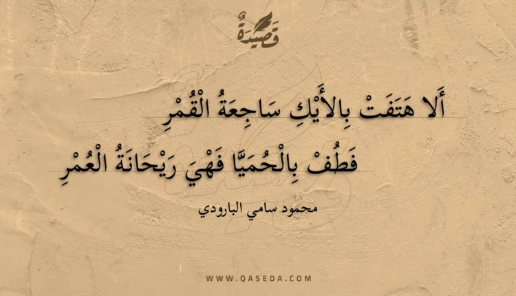 قصيدة ألا هتفت بالأيك ساجعة القمر