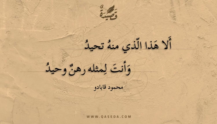 قصيدة ألا هذا الذي منه تحيد