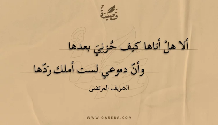 قصيدة ألا هل أتاها كيف حزني بعدها