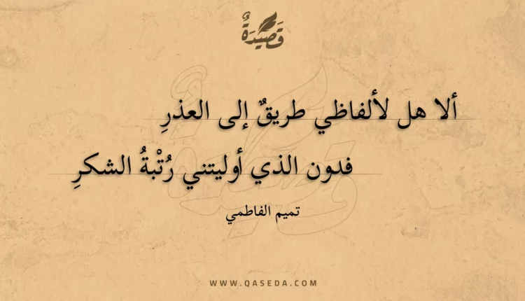 قصيدة ألا هل لألفاظي طريق إلى العذر