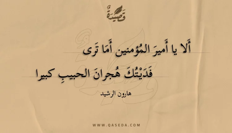 قصيدة ألا يا أمير المؤمنين أما ترى