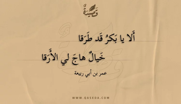 قصيدة ألا يا بكر قد طرقا خيال