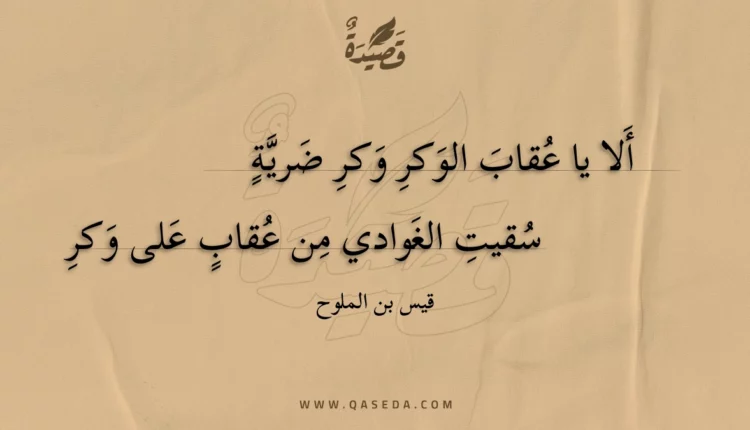 قصيدة ألا يا عقاب الوكر وكر ضرية