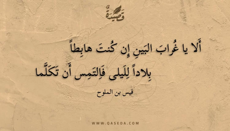 قصيدة ألا يا غراب البين إن كنت هابطا