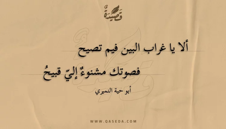 قصيدة ألا يا غراب البين فيم تصيح