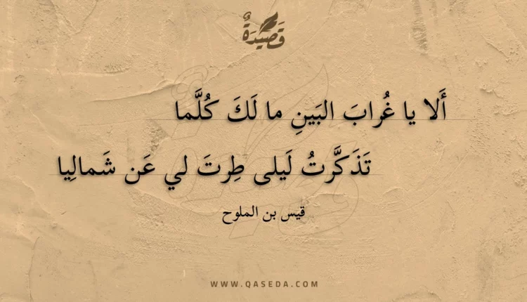 قصيدة ألا يا غراب البين ما لك كلما