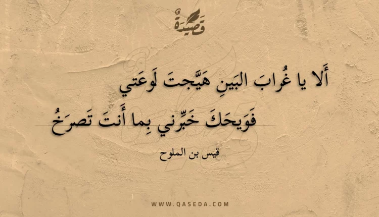 قصيدة ألا يا غراب البين هيجت لوعتي