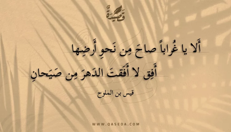قصيدة ألا يا غرابا صاح من نحو أرضها