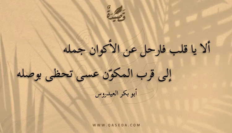 قصيدة ألا يا قلب فارحل عن الأكوان جمله